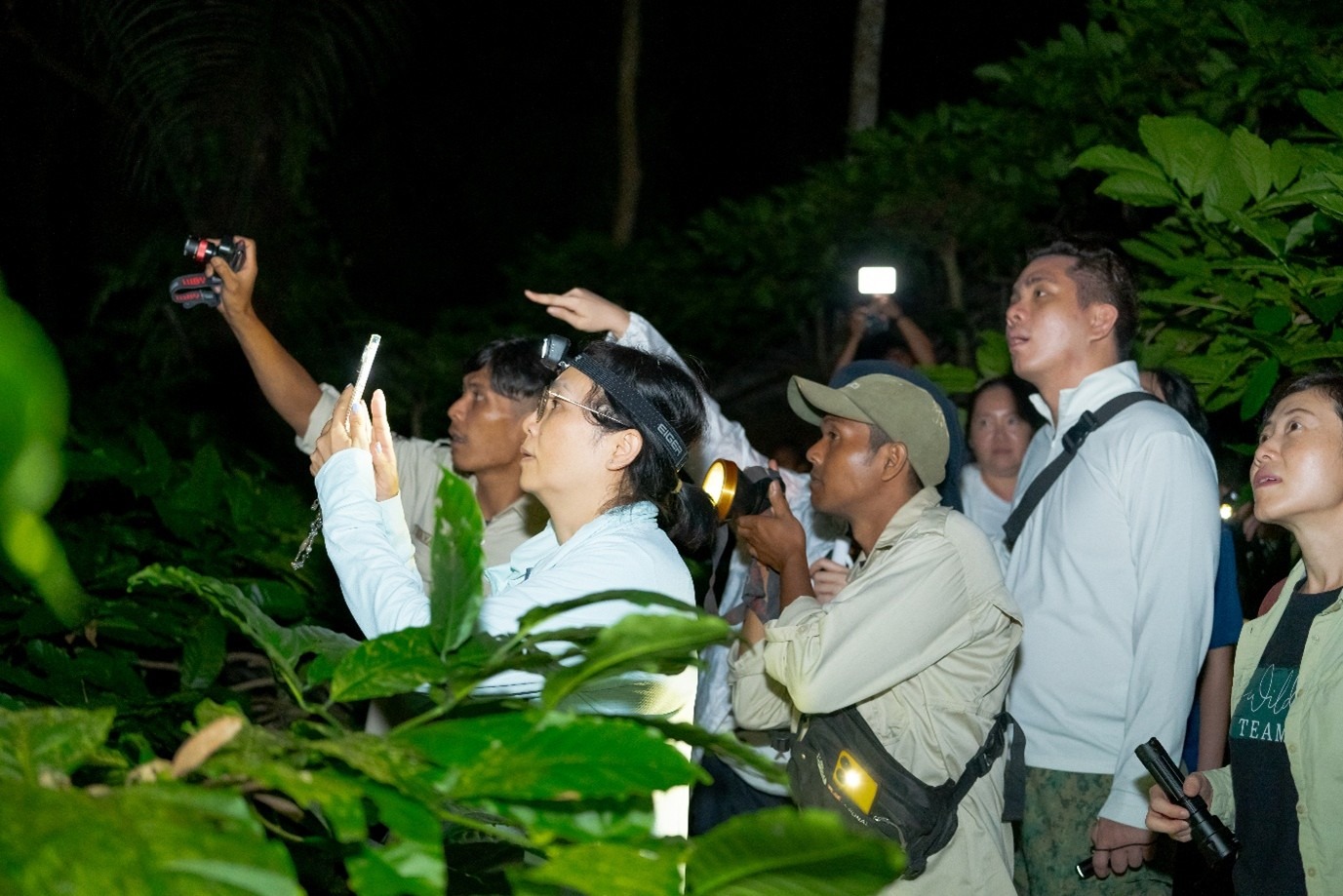 Wildlife Tourism: The Meeting Point Between Conservation and Community