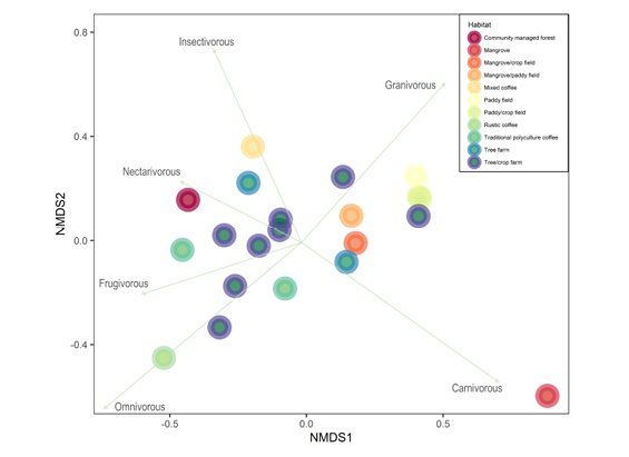 Bird Assemblages in Coffee Agroforestry Systems and Other Human Modified Habitats in Indonesia
