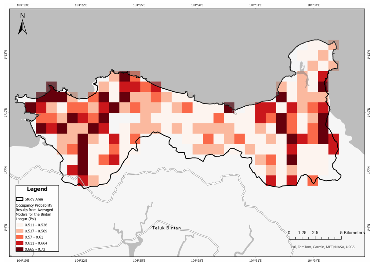Occupancy modelling for wildlife tourism and conservation planning of endangered Bintan langur (Presbytis siamensis rhionis)